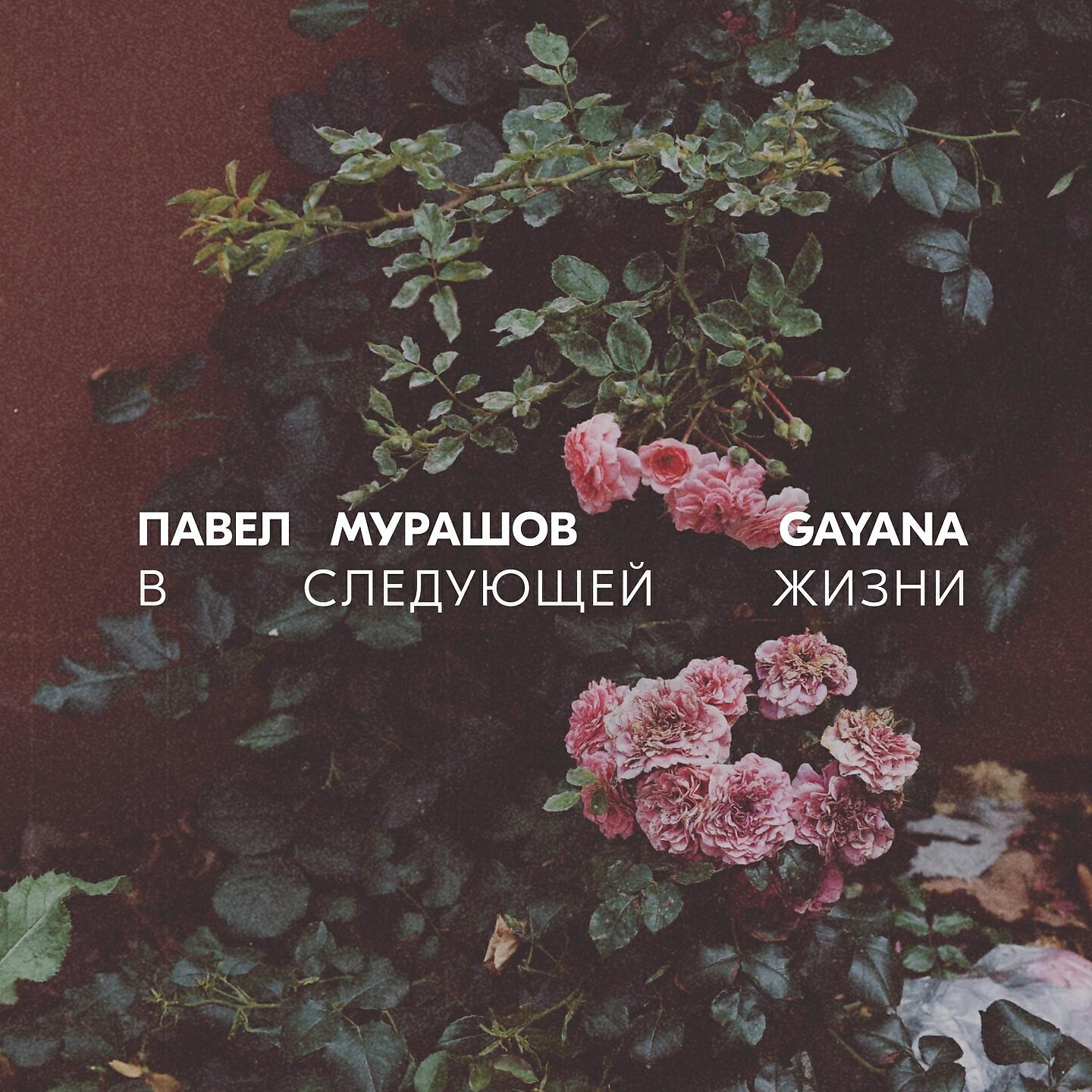 Павел Мурашов - В Следующей Жизни