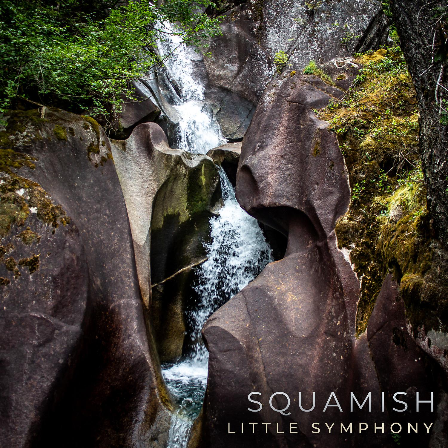 Постер альбома Squamish