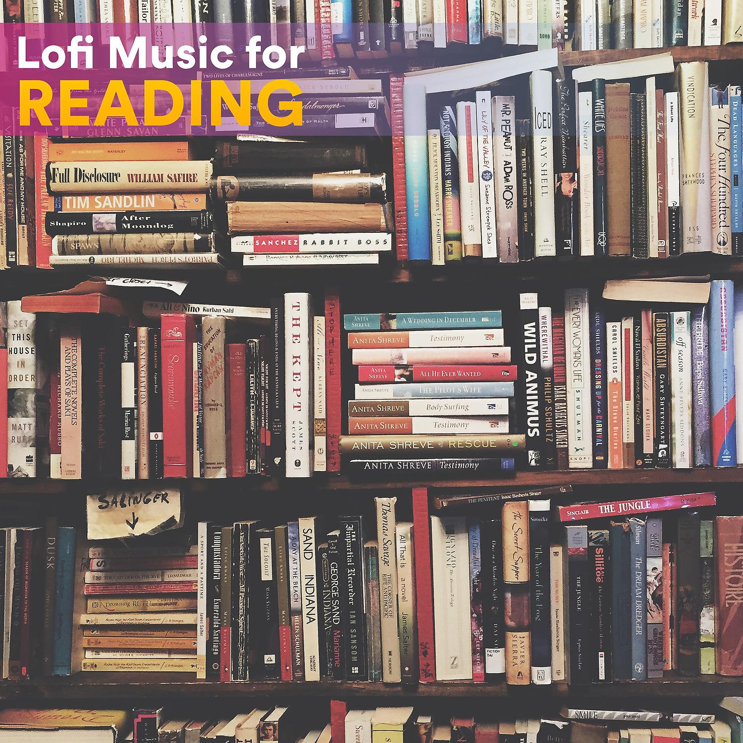 Постер альбома Lofi Music for Reading
