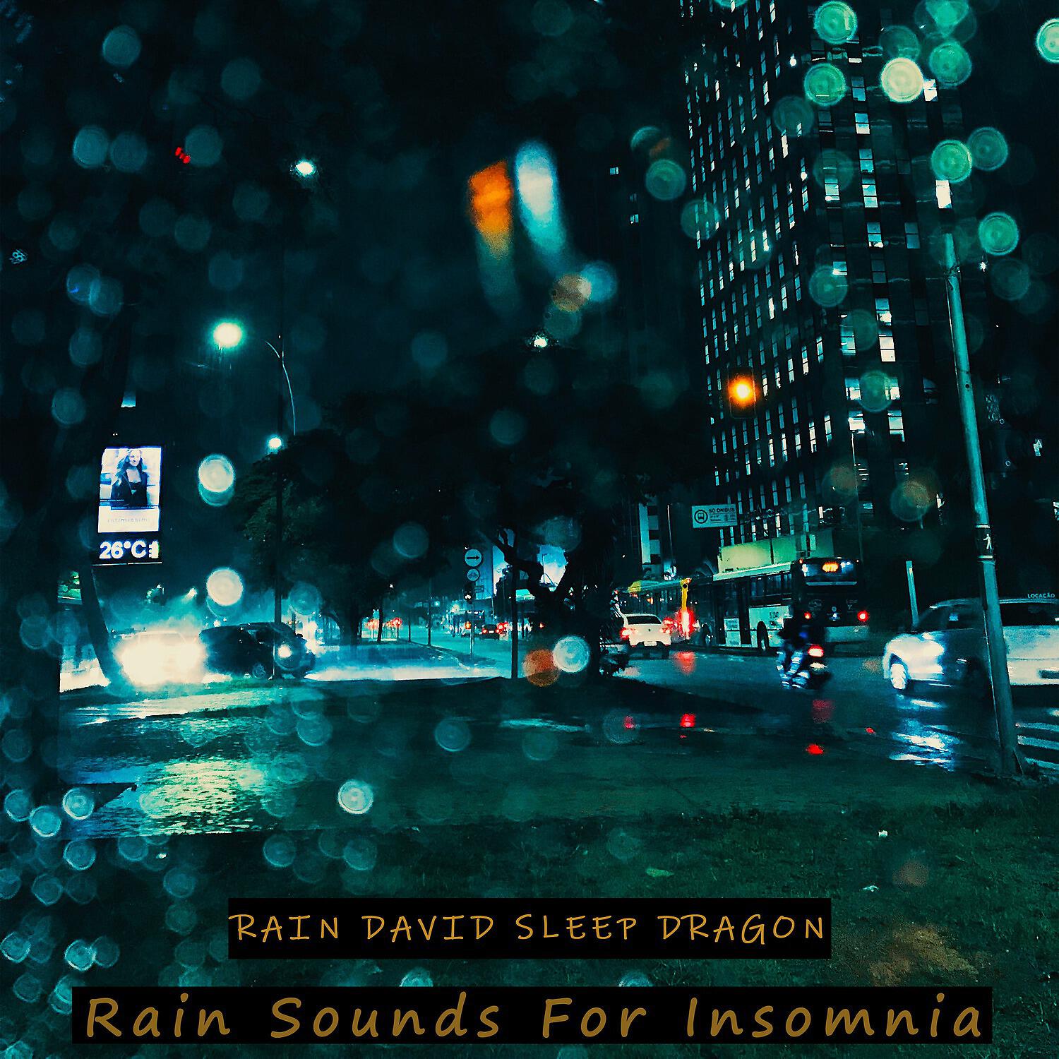 Rain David Sleep Dragon - Sleep Sleep Sleep