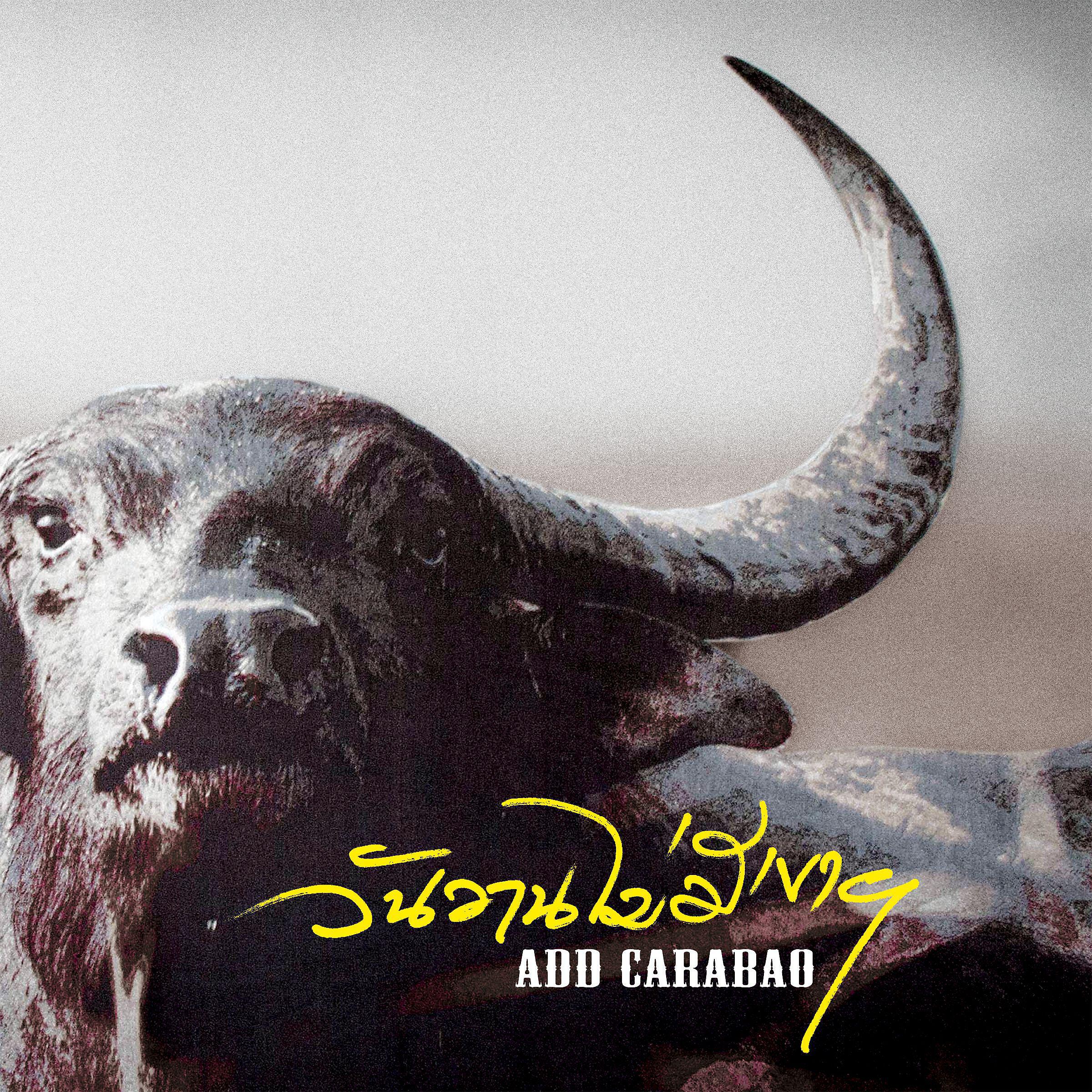 Add Carabao - 1 = 0