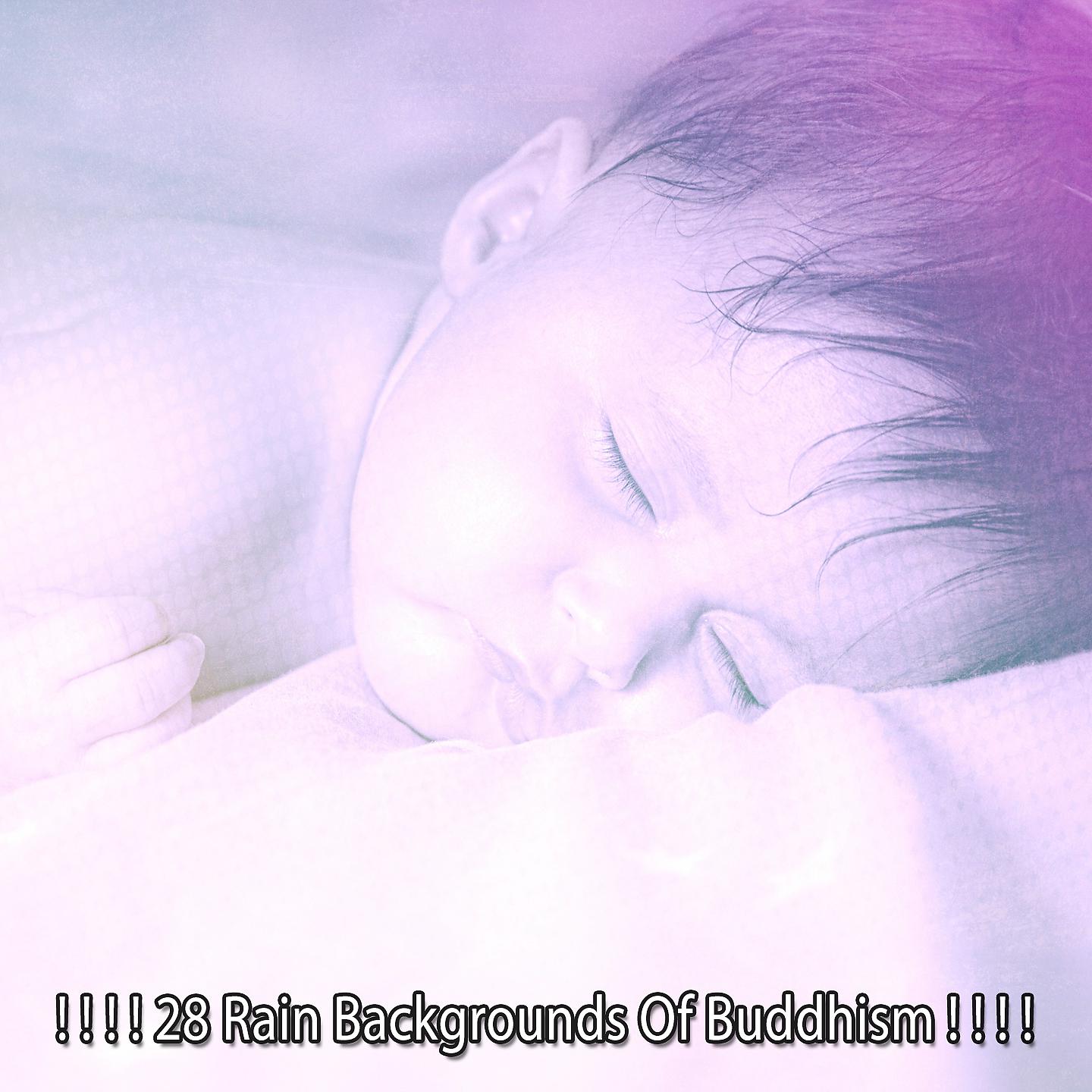 Постер альбома ! ! ! ! 28 фонов дождя из буддизма! ! ! !