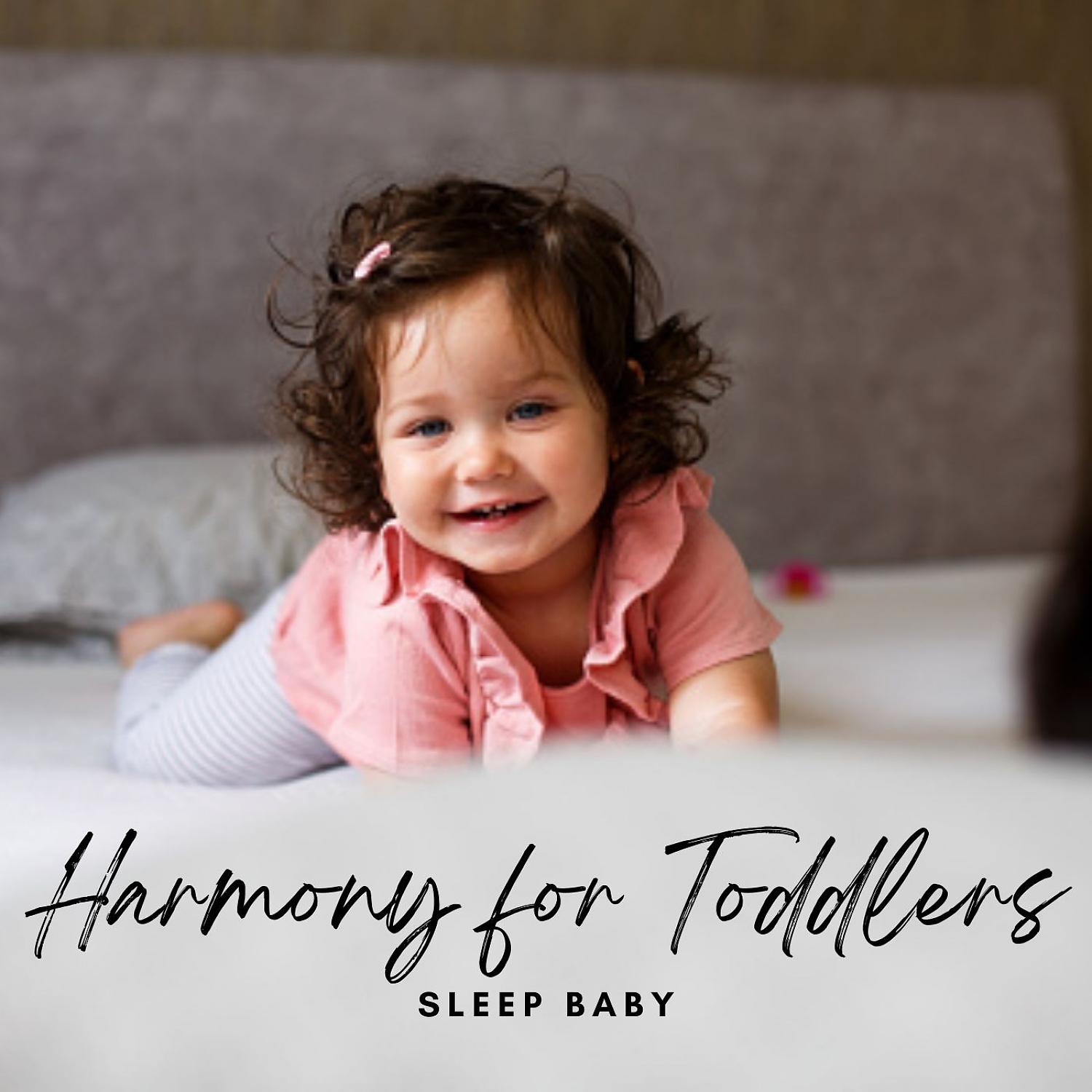 Постер альбома Sleep Baby: Harmony for Toddlers