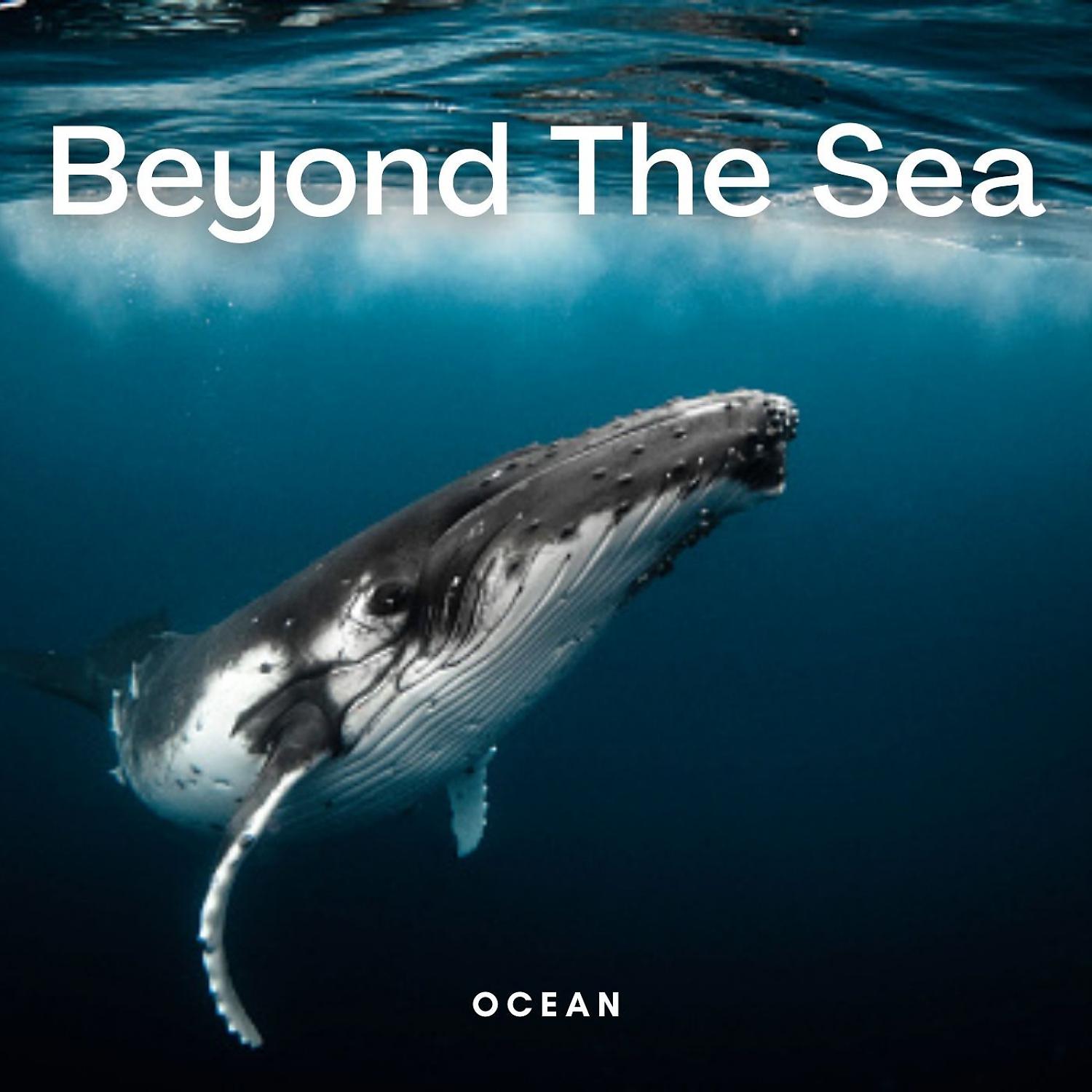 Постер альбома Ocean: Beyond the Sea