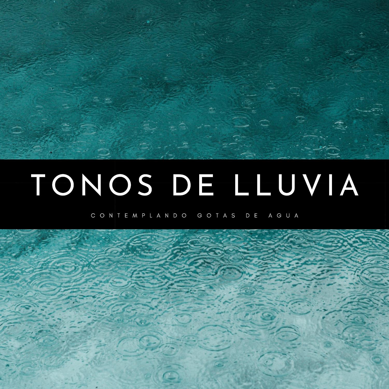 Постер альбома Tonos De Lluvia: Contemplando Gotas De Agua