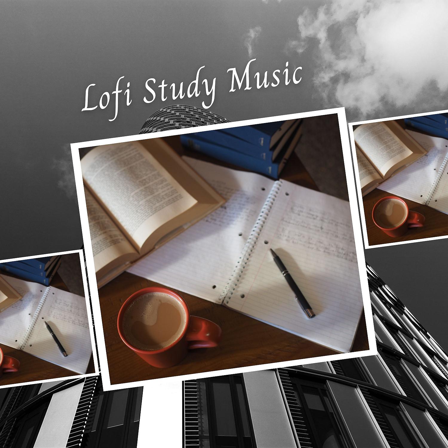 Постер альбома Lofi Study Music