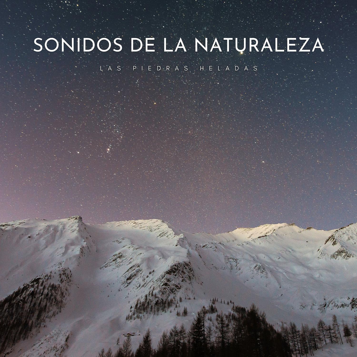 Постер альбома Sonidos De La Naturaleza: Las Piedras Heladas