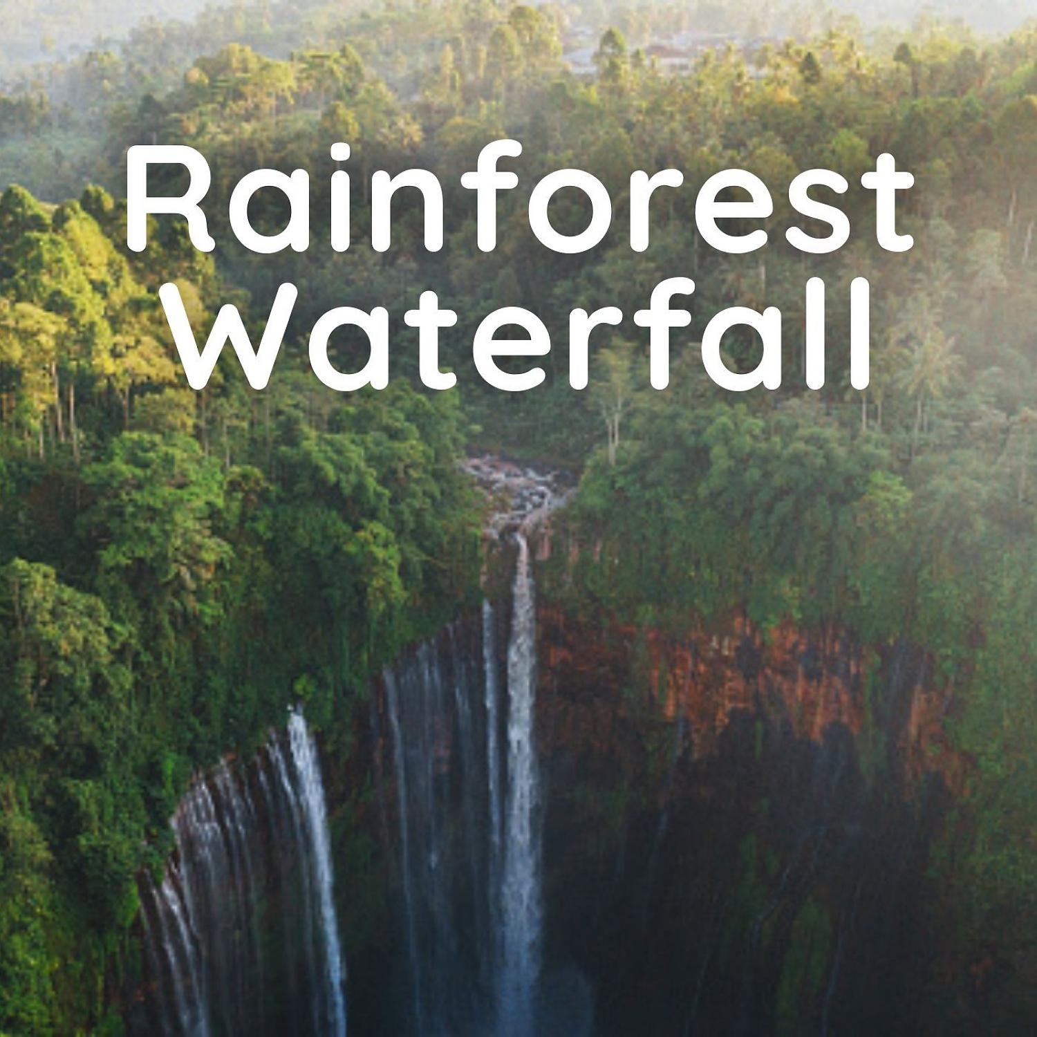Постер альбома Rainforest Waterfall - 1 Hour