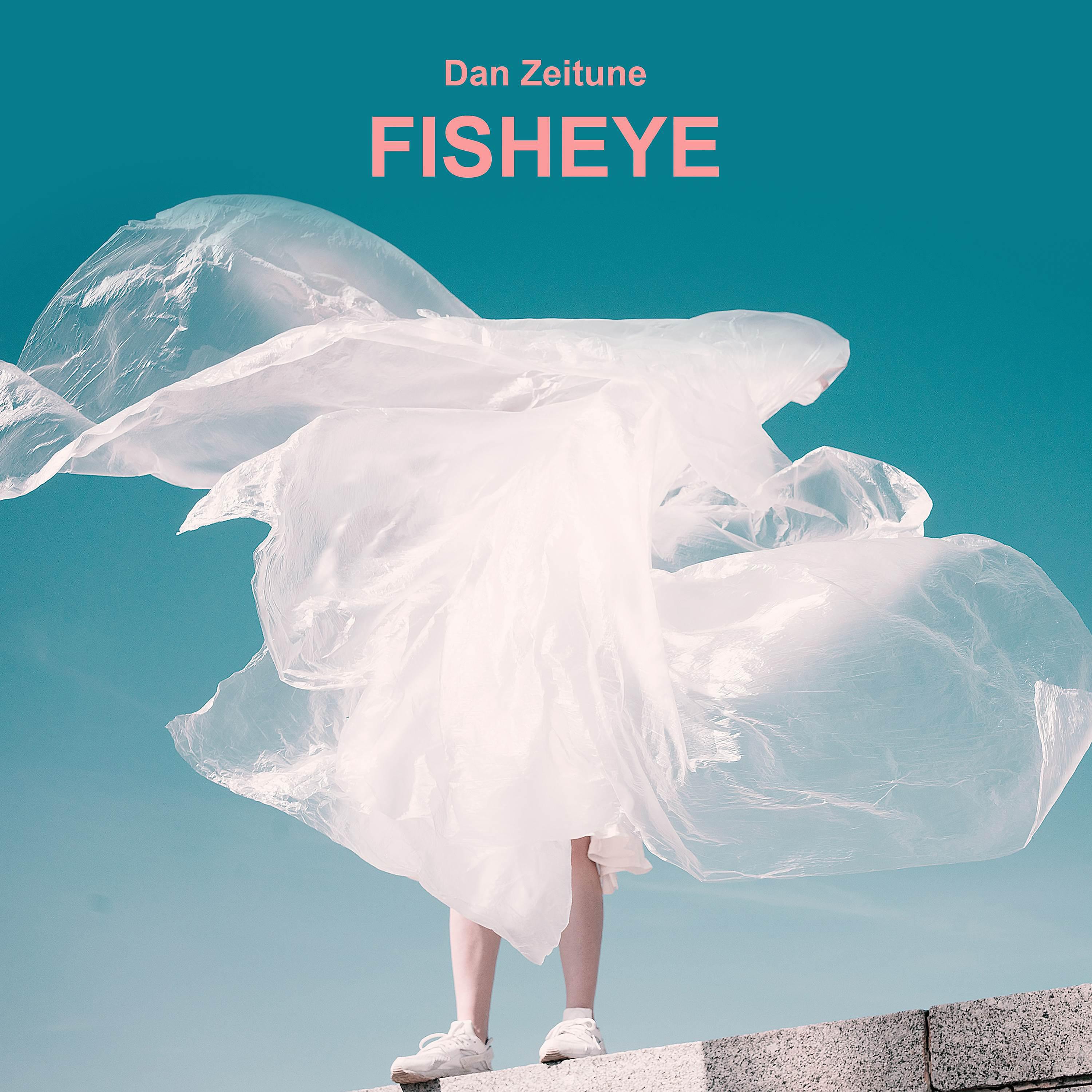 Постер альбома Fisheye