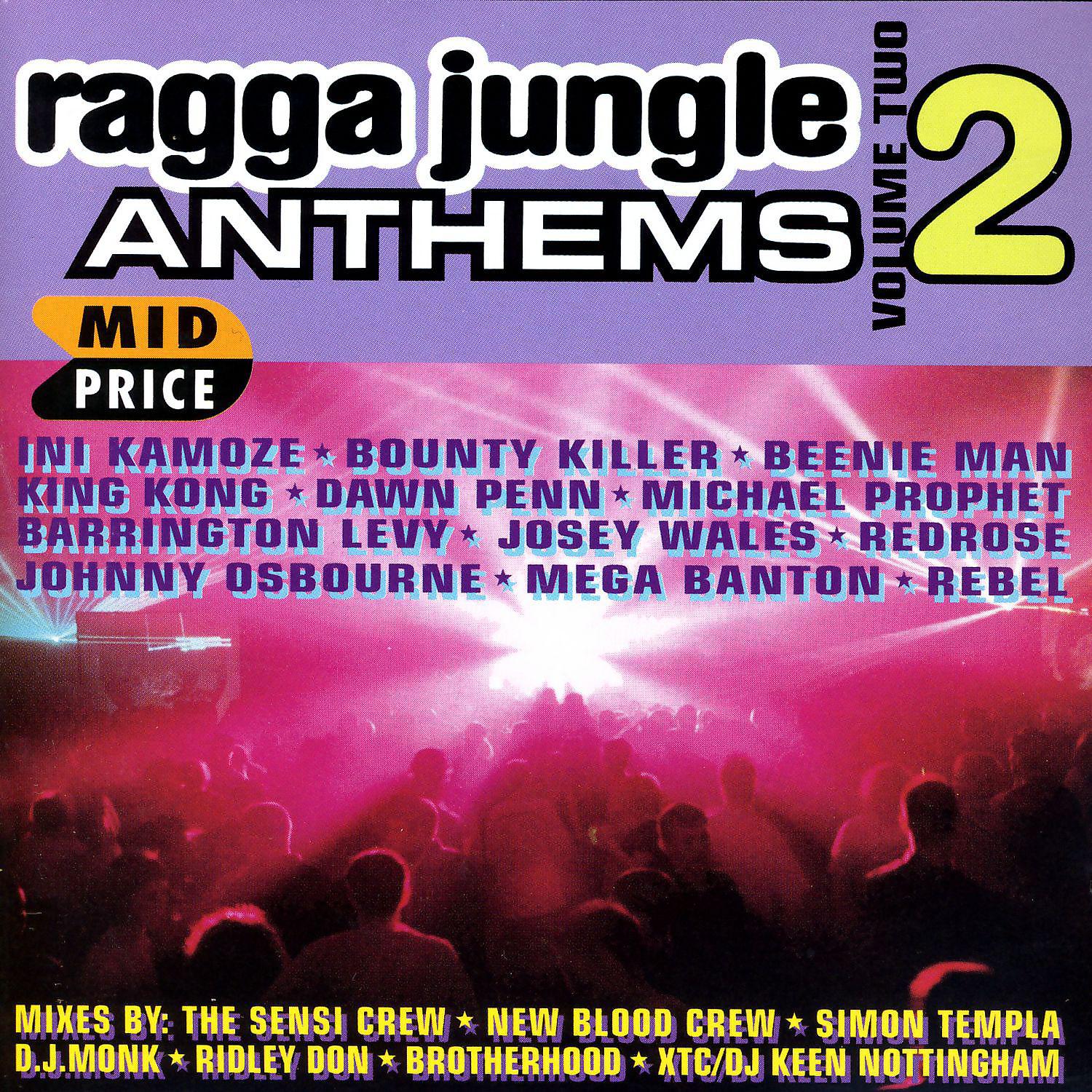 Постер альбома Ragga Jungle Anthems Vol. Two