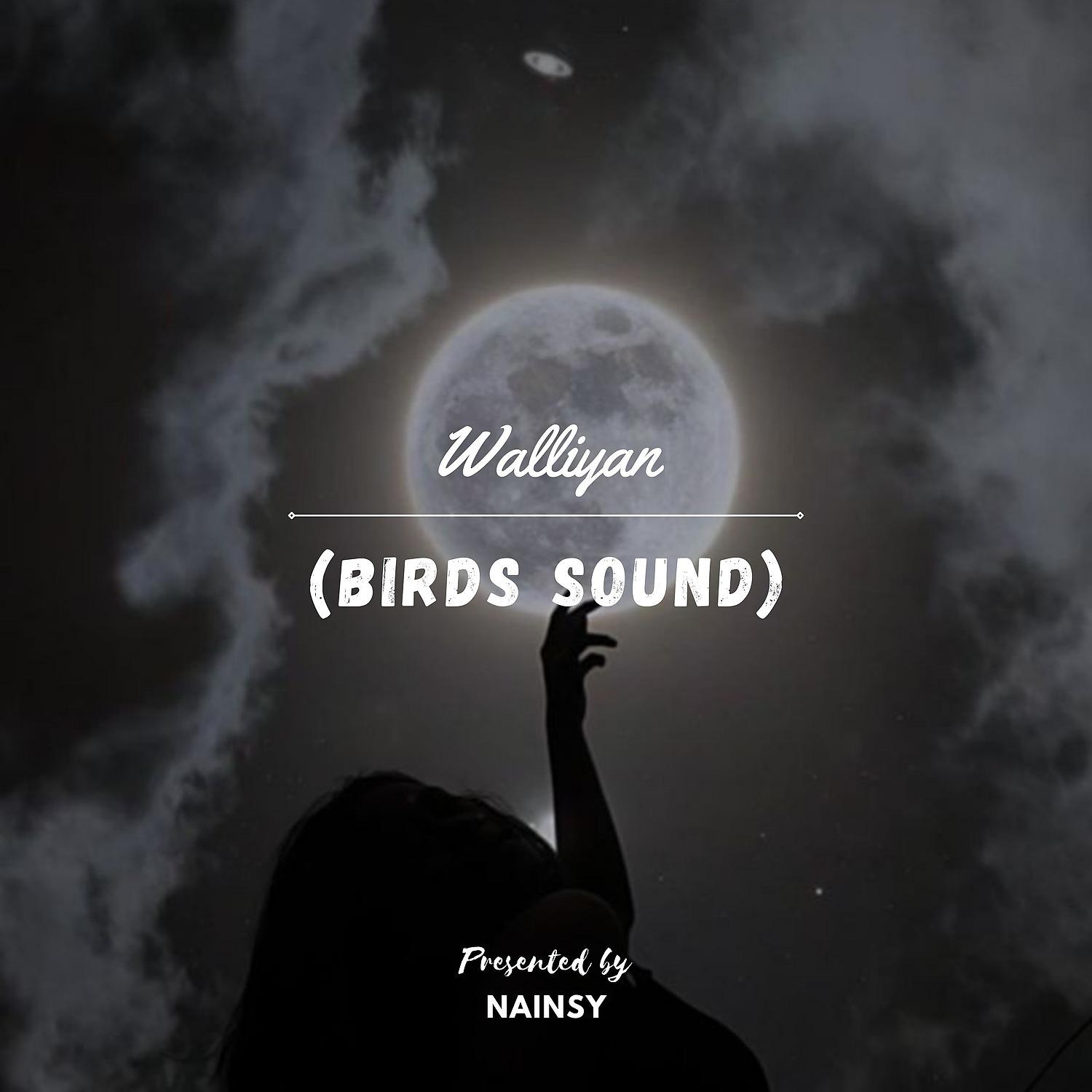 Постер альбома Waaliyan (birds sound)