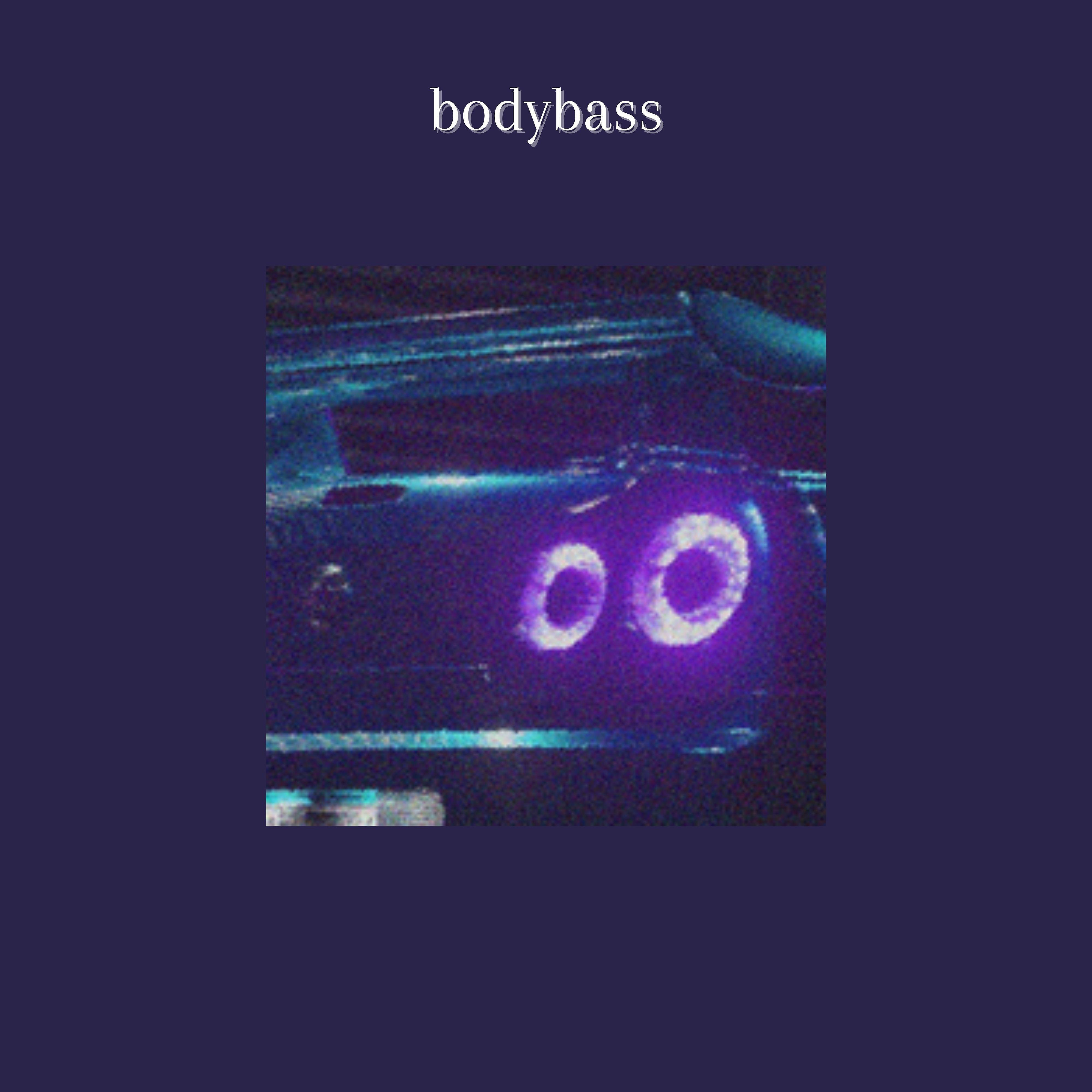 Постер альбома Bodybass