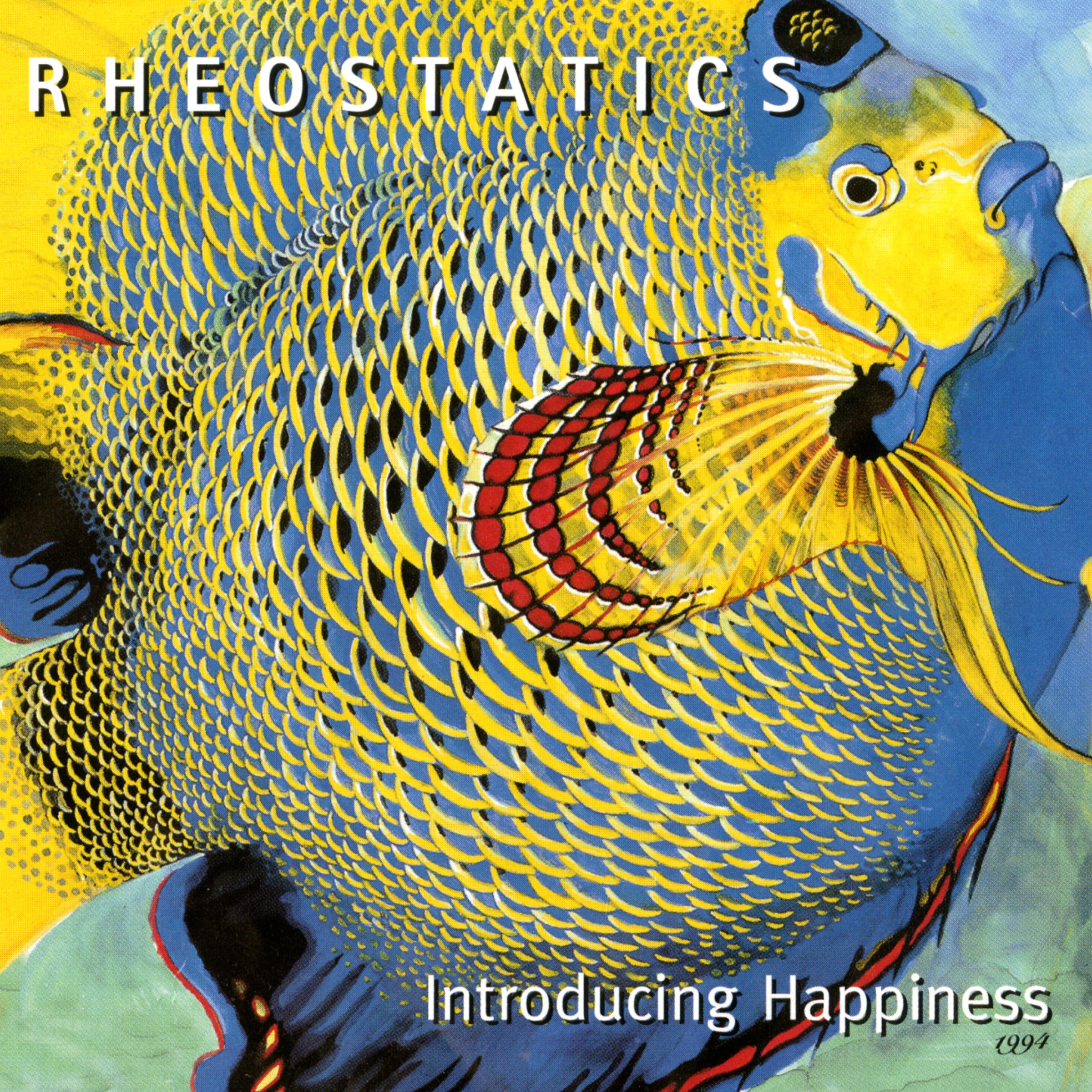 Постер альбома Introducing Happiness