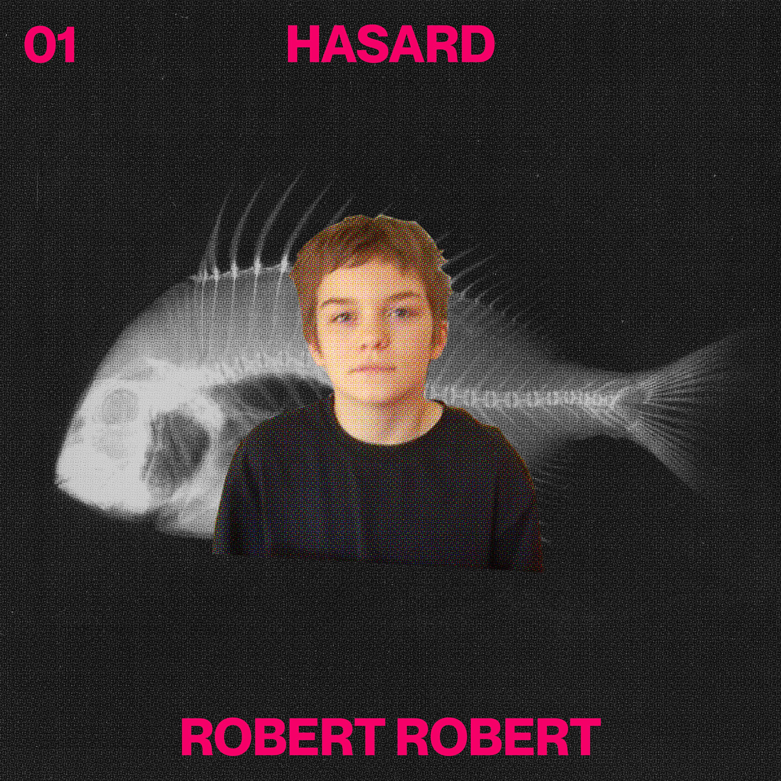 Постер альбома Hasard