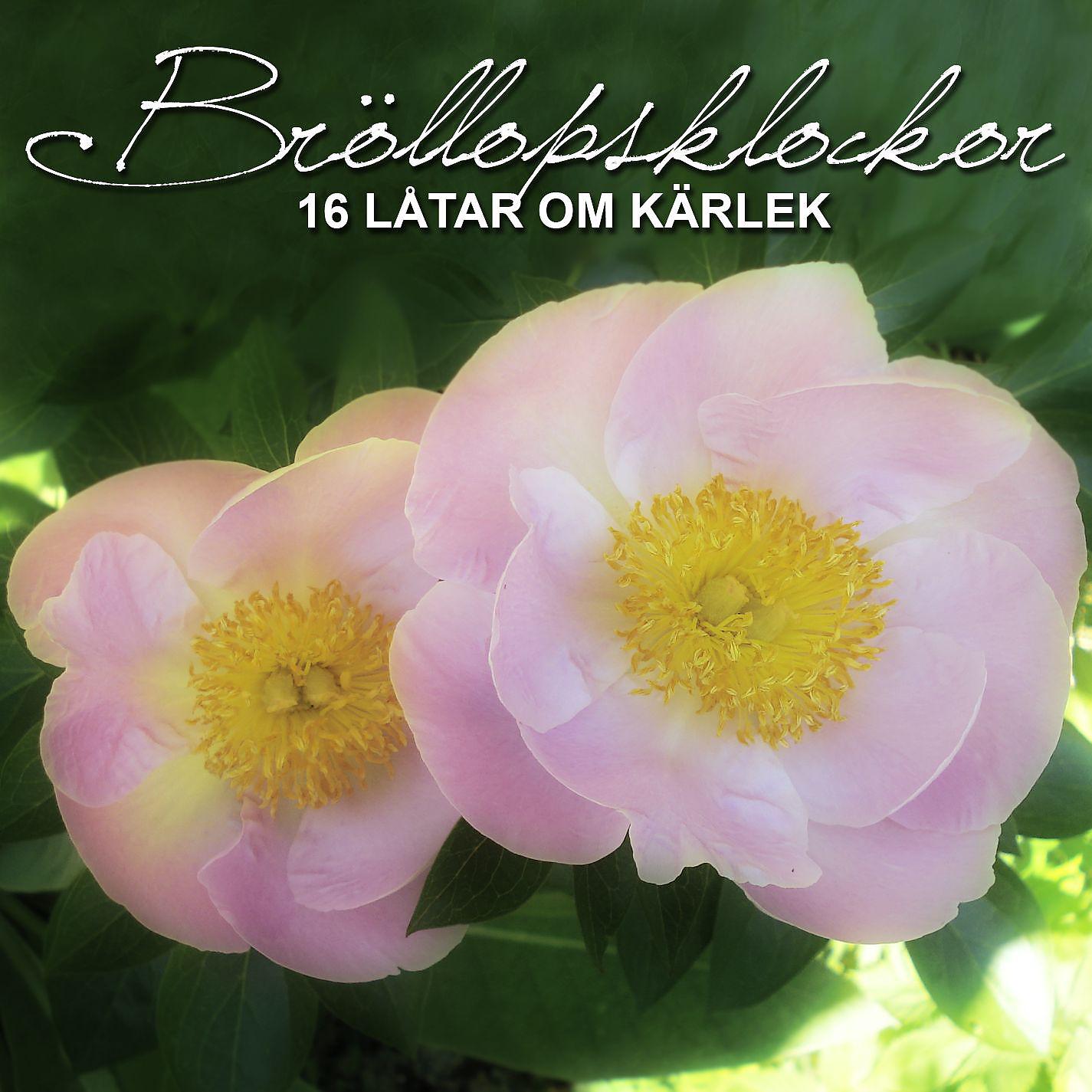 Постер альбома Bröllopsklockor - 16 låtar om kärlek