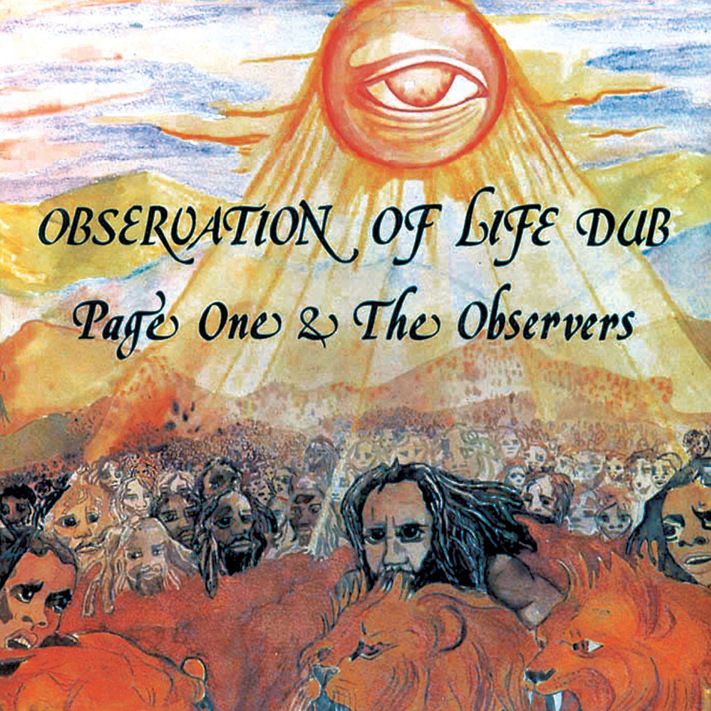 Постер альбома Observation Of Life Dub