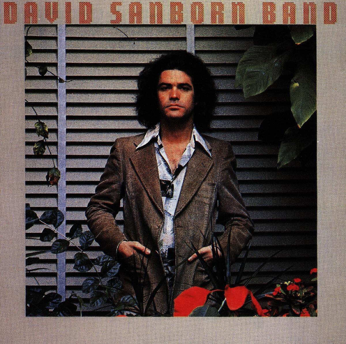 DAVID SANBORN - We Fool Ourselves