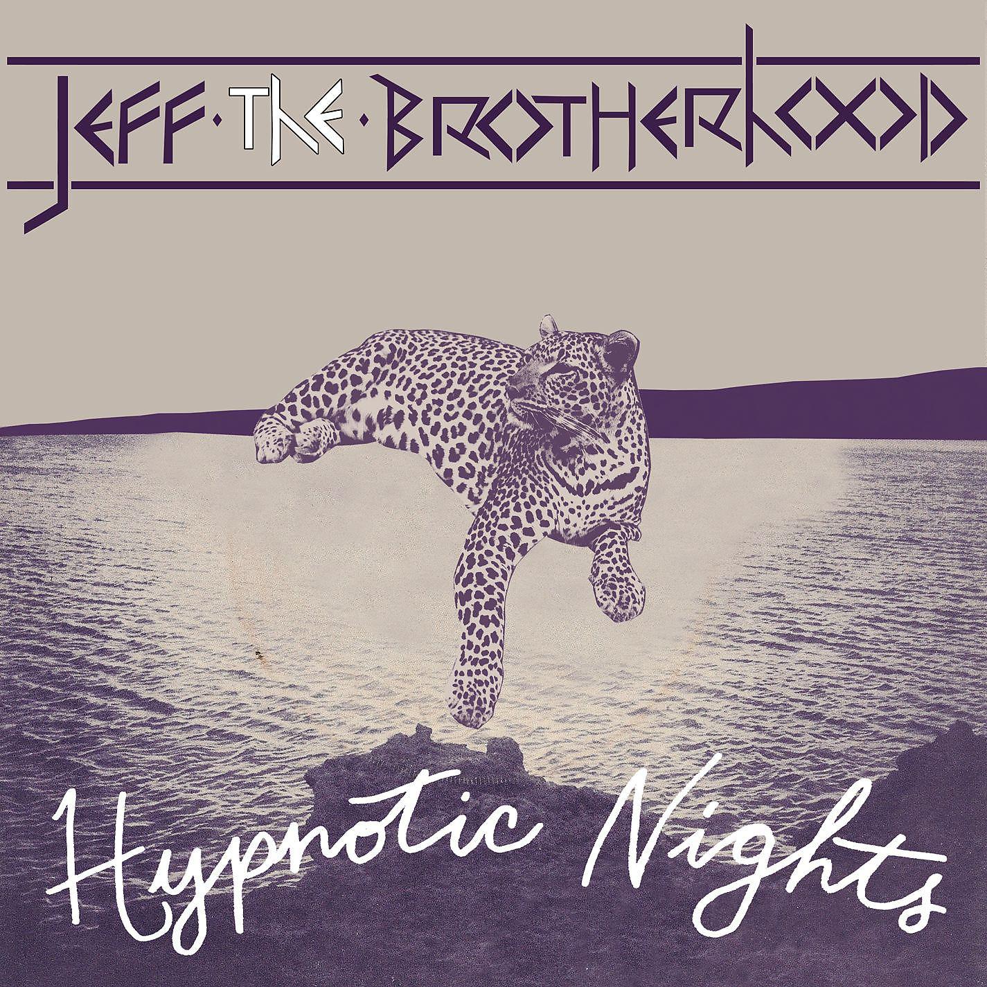Постер альбома Hypnotic Nights (Deluxe Version)
