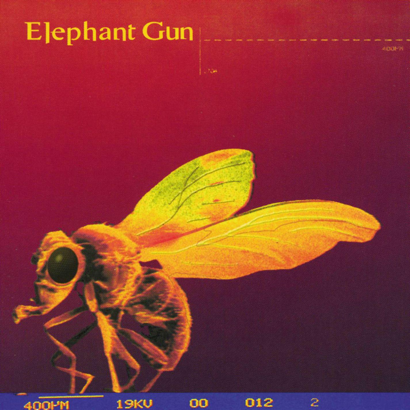 Постер альбома Elephant Gun