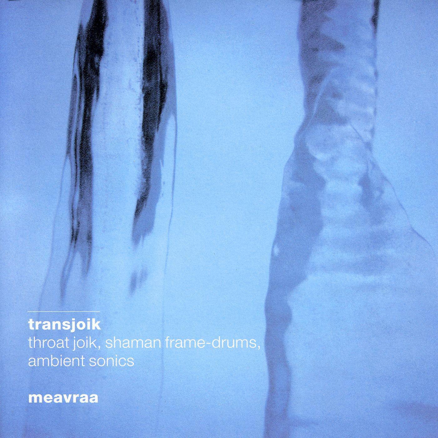 Постер альбома Meavraa- the ancient voice