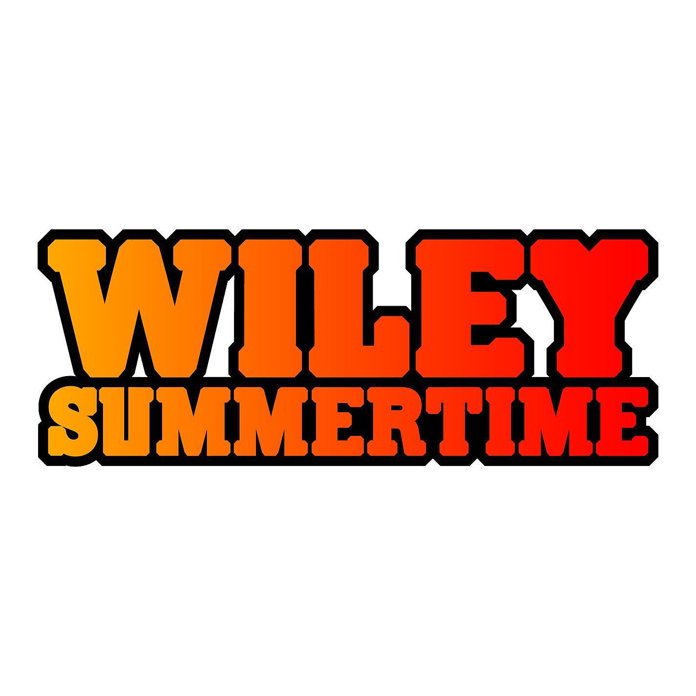 Wiley - Summertime (Crookers Mix)