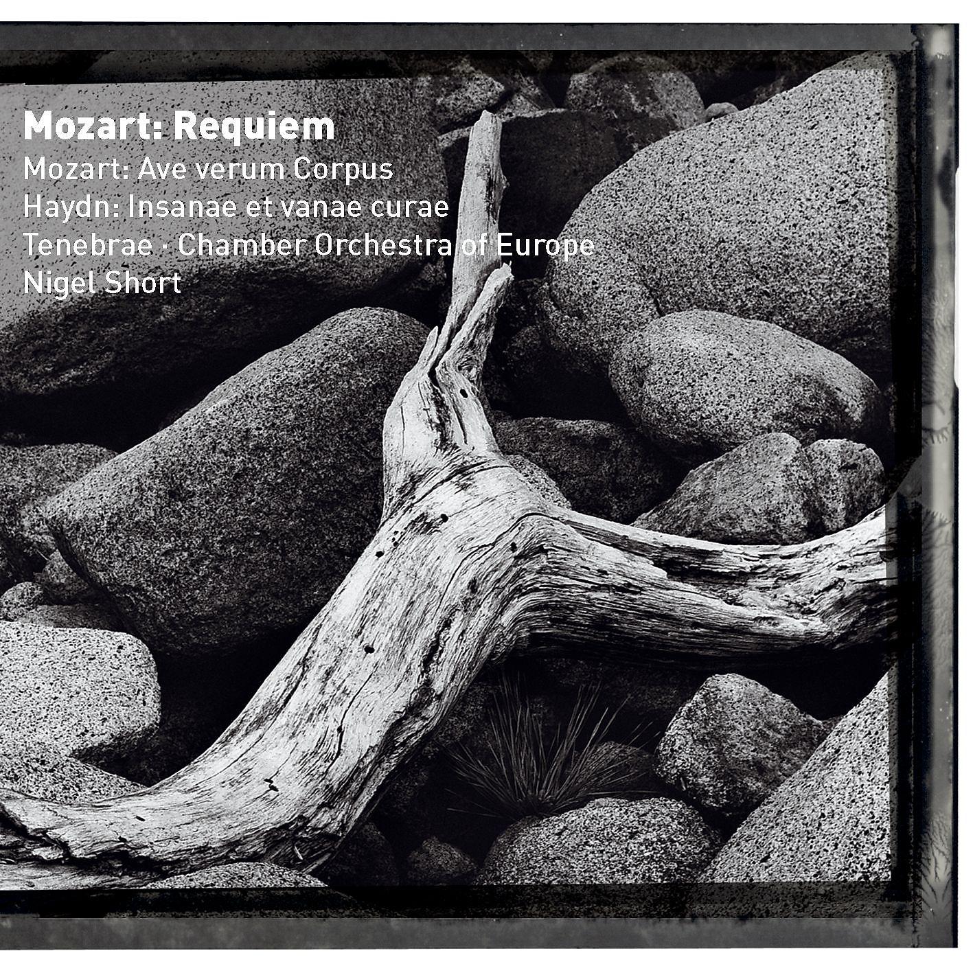 Постер альбома Mozart : Requiem & Ave verum corpus