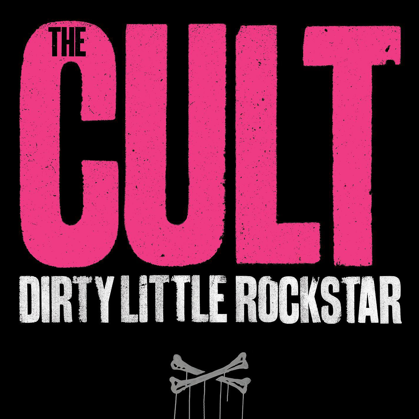 Постер альбома Dirty Little Rockstar