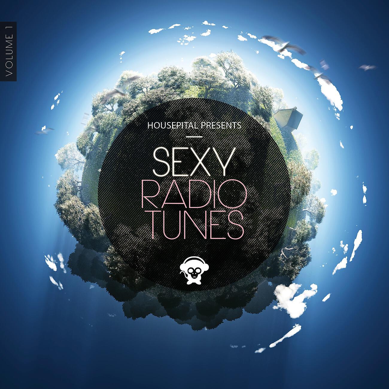 Ed Whitty - Shakedown (Radio Edit)