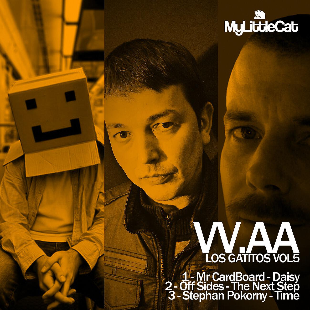 Mr CardBoard - Daisy