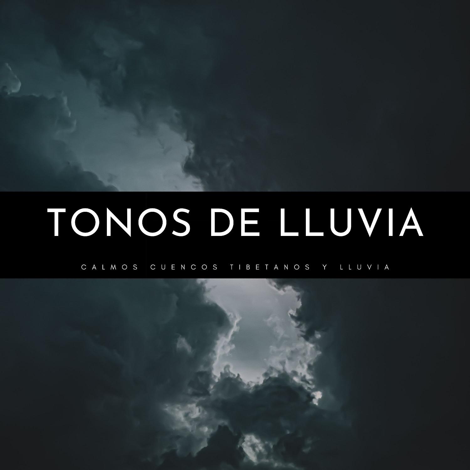 Постер альбома Tonos De Lluvia: Calmos Cuencos Tibetanos y Lluvia