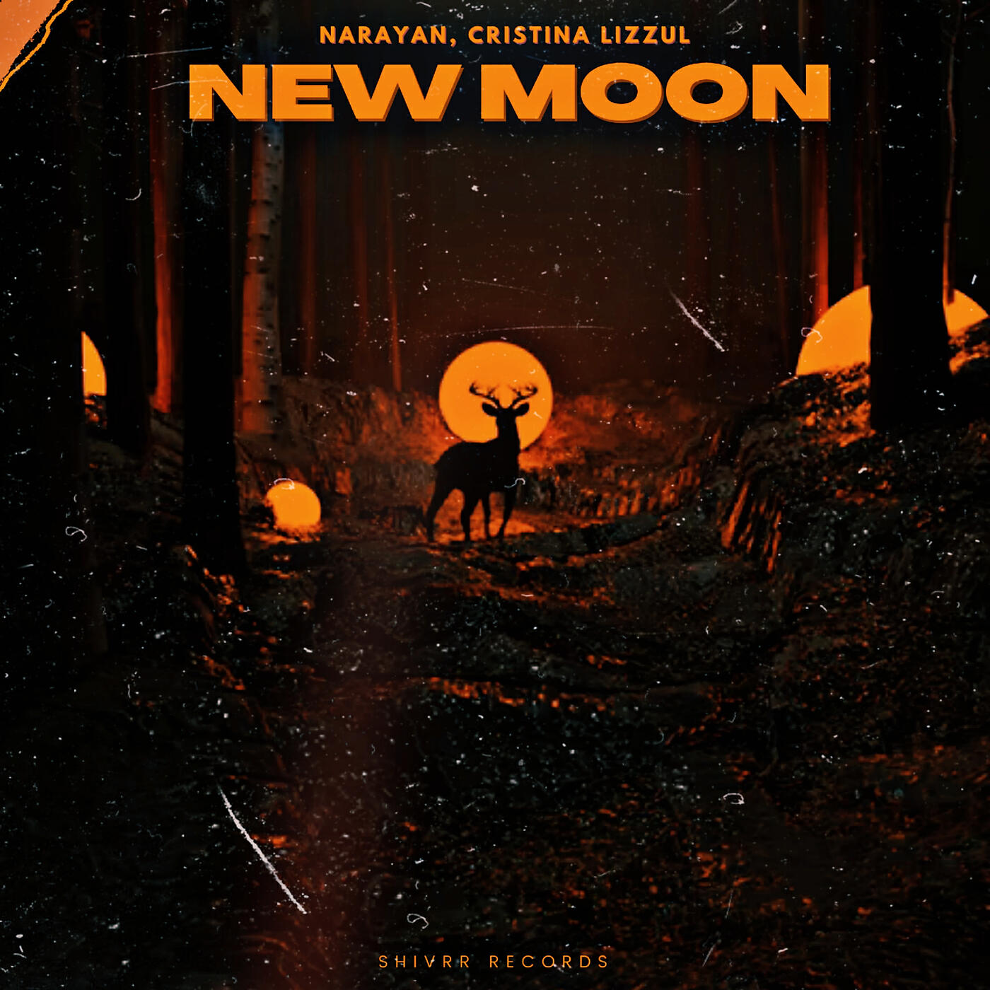 Narayan - New Moon