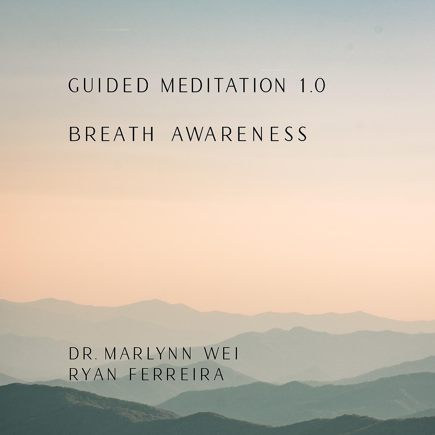 Постер альбома Guided Meditation 1.0 Breath Awareness