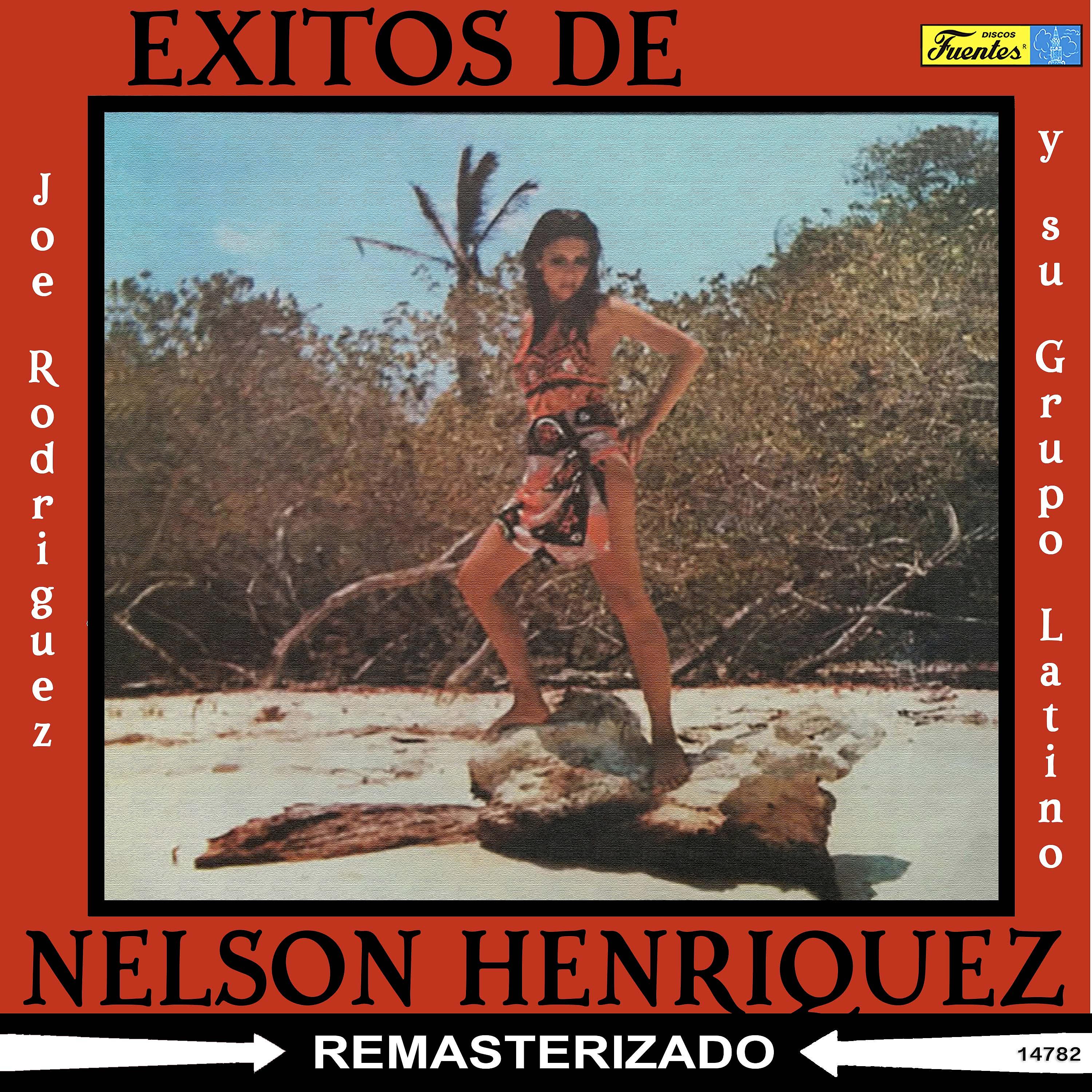 Постер альбома Éxitos de Nelson Henriquez