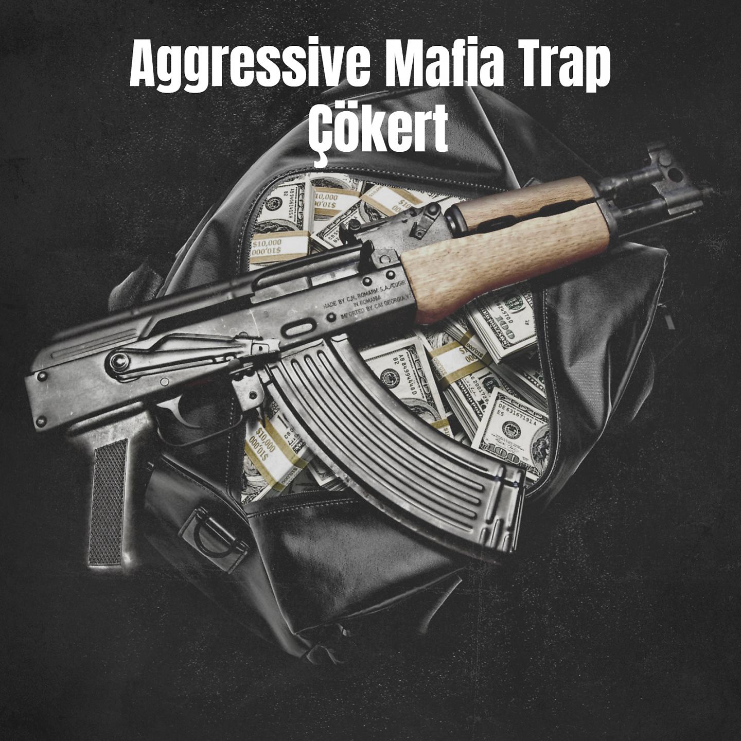 Постер альбома Aggressive Mafia Trap Çökert