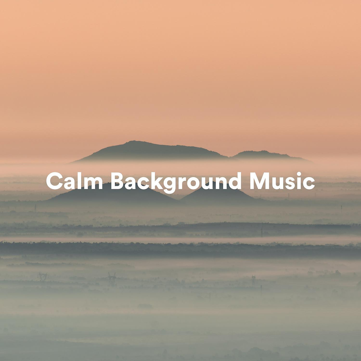 Постер альбома Calm Background Music