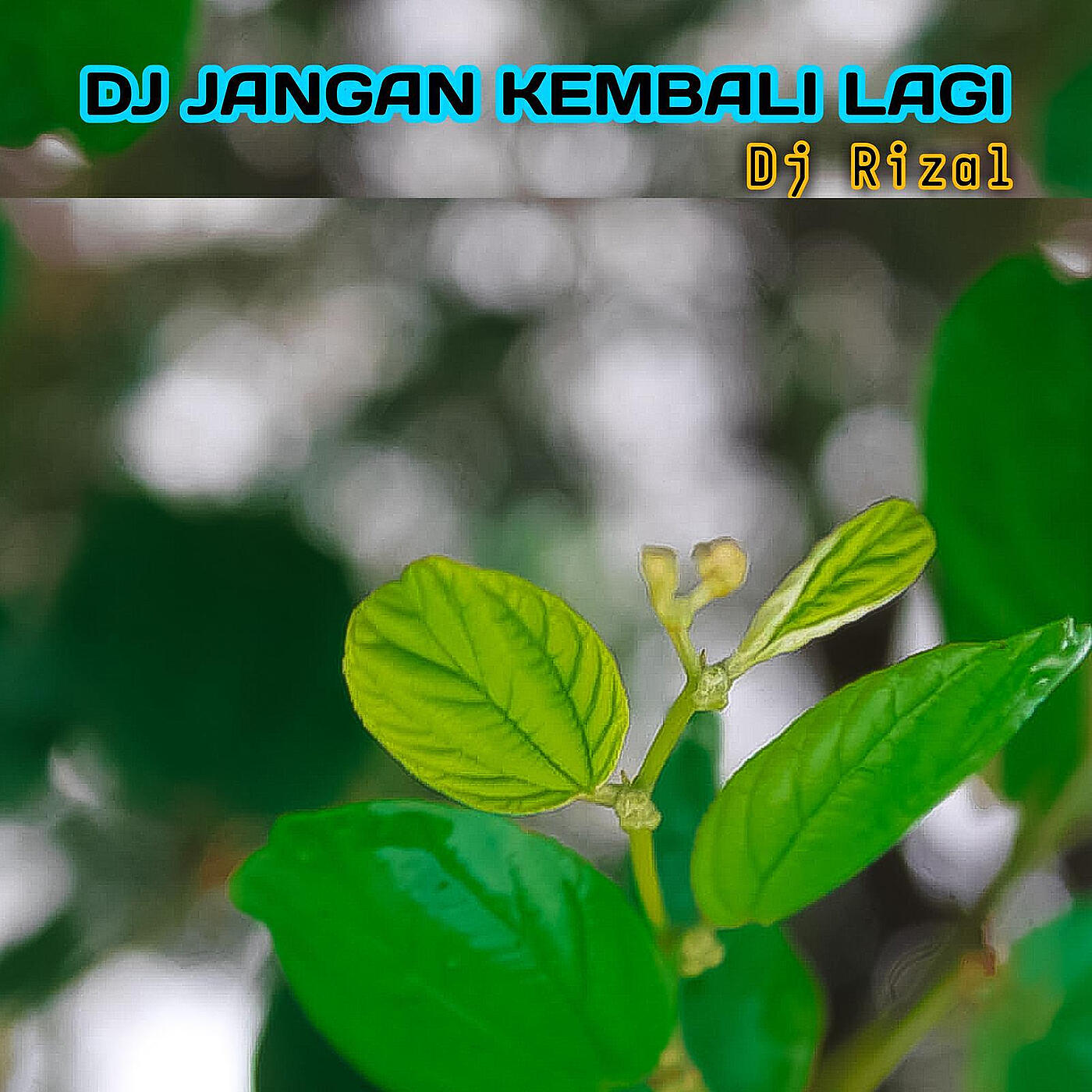 Dj Rizal - DJ Jangan Kembali Lagi