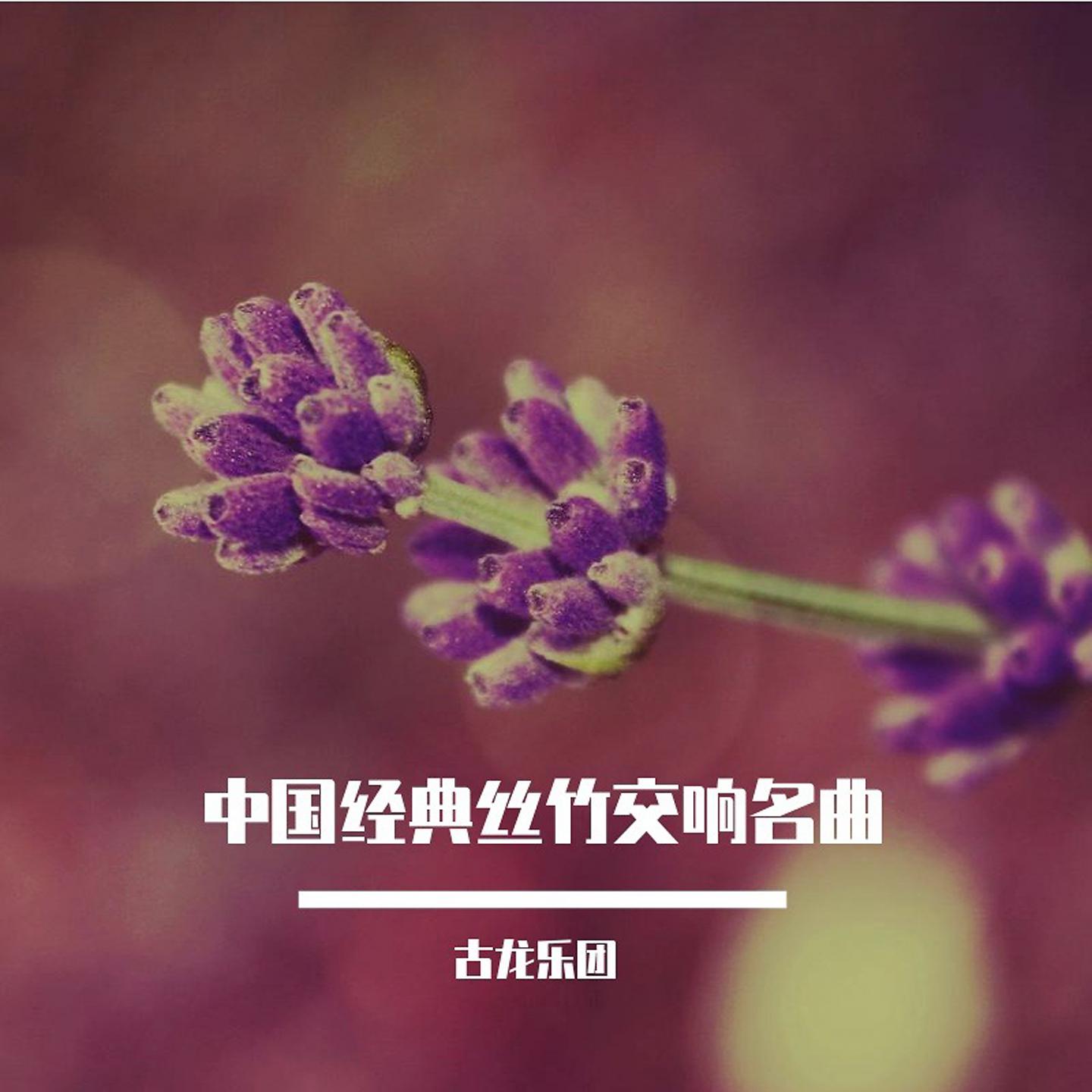 Постер альбома 中国经典丝竹交响名曲