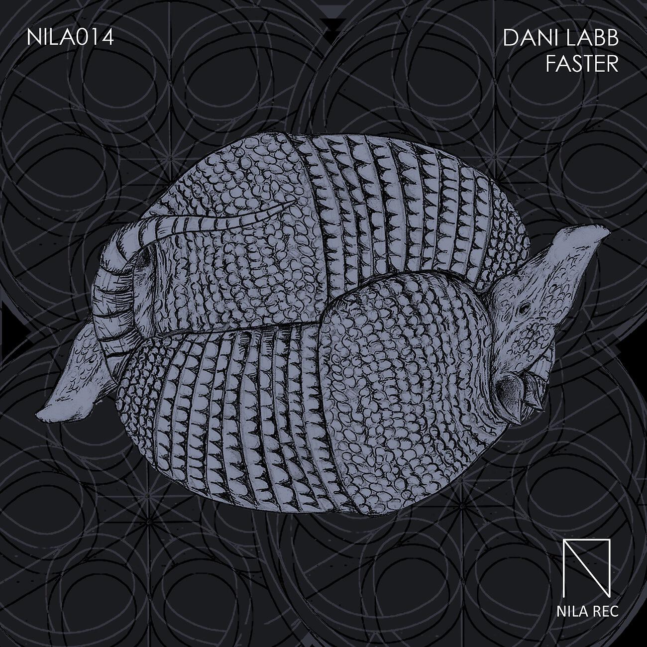 Dani Labb - Faster