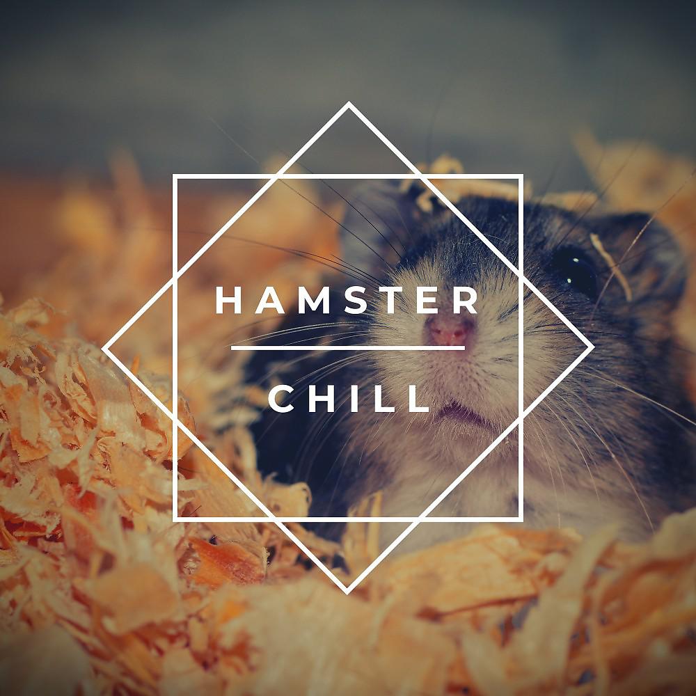 Постер альбома Hamster Chill
