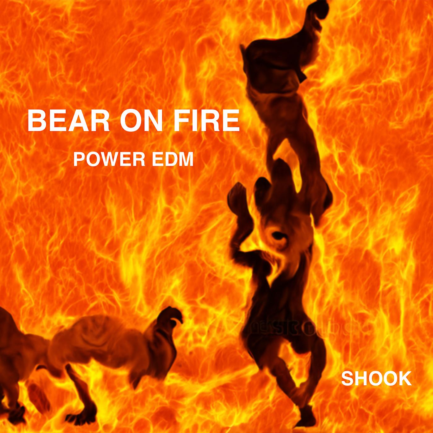 Постер альбома Bear on Fire Power Edm