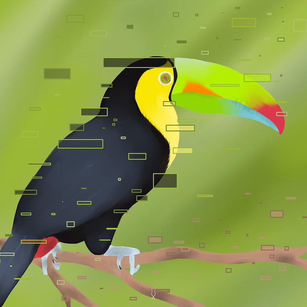 Andur - Digital Nature
