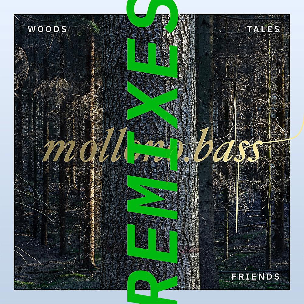 Постер альбома Woods, Tales & Friends Remixes - Part Three