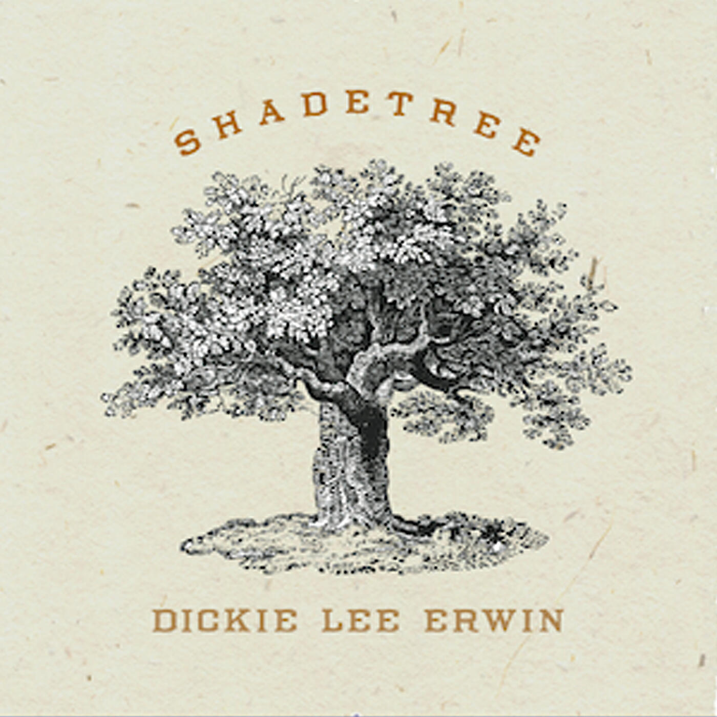 Dickie Lee Erwin - Go Ahead and Rain