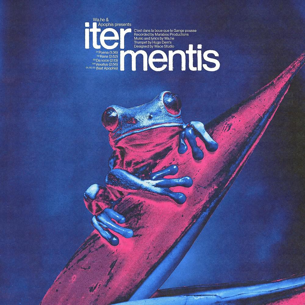 Постер альбома Iter mentis