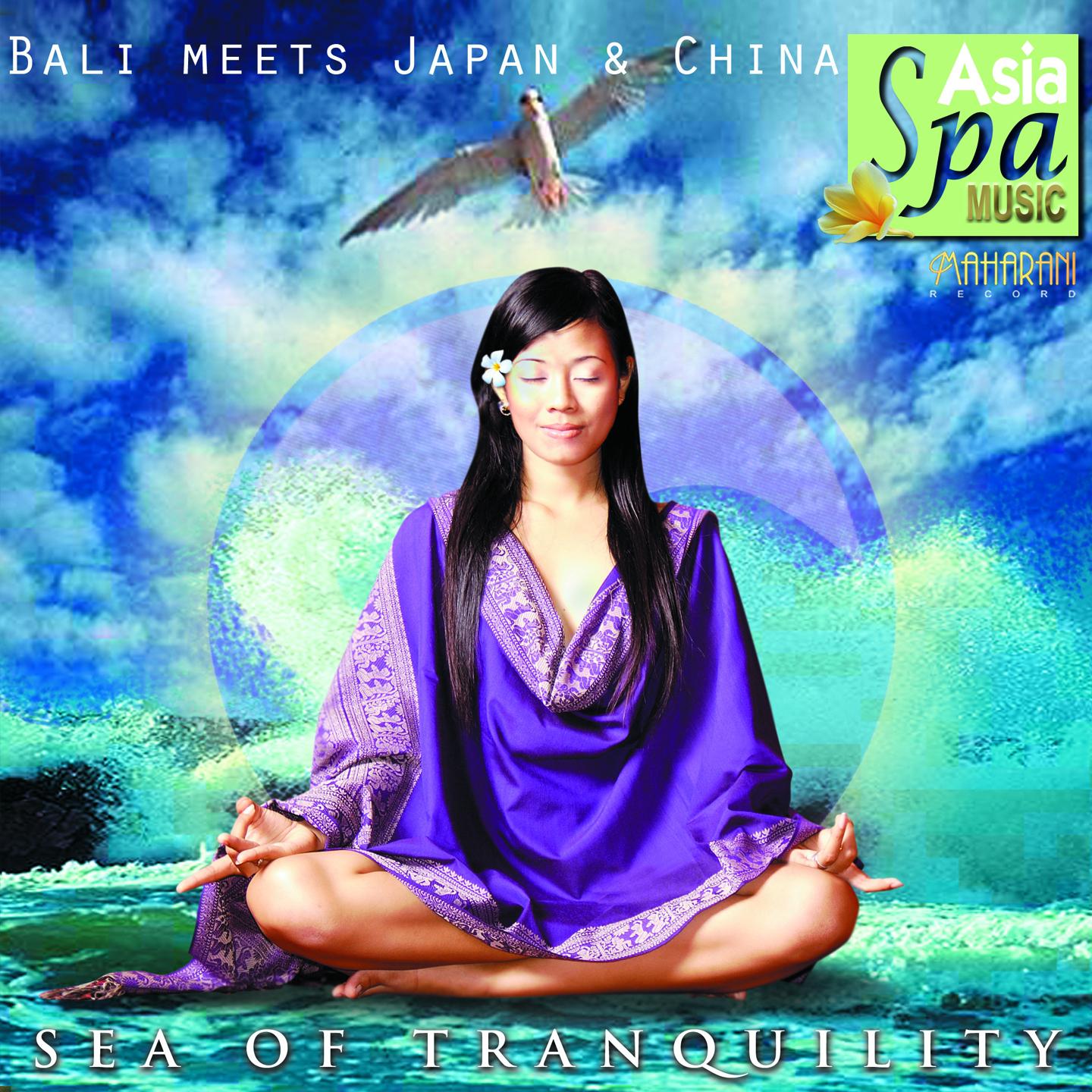 Постер альбома Bali Meets Japan & China: Sea of Tranquility