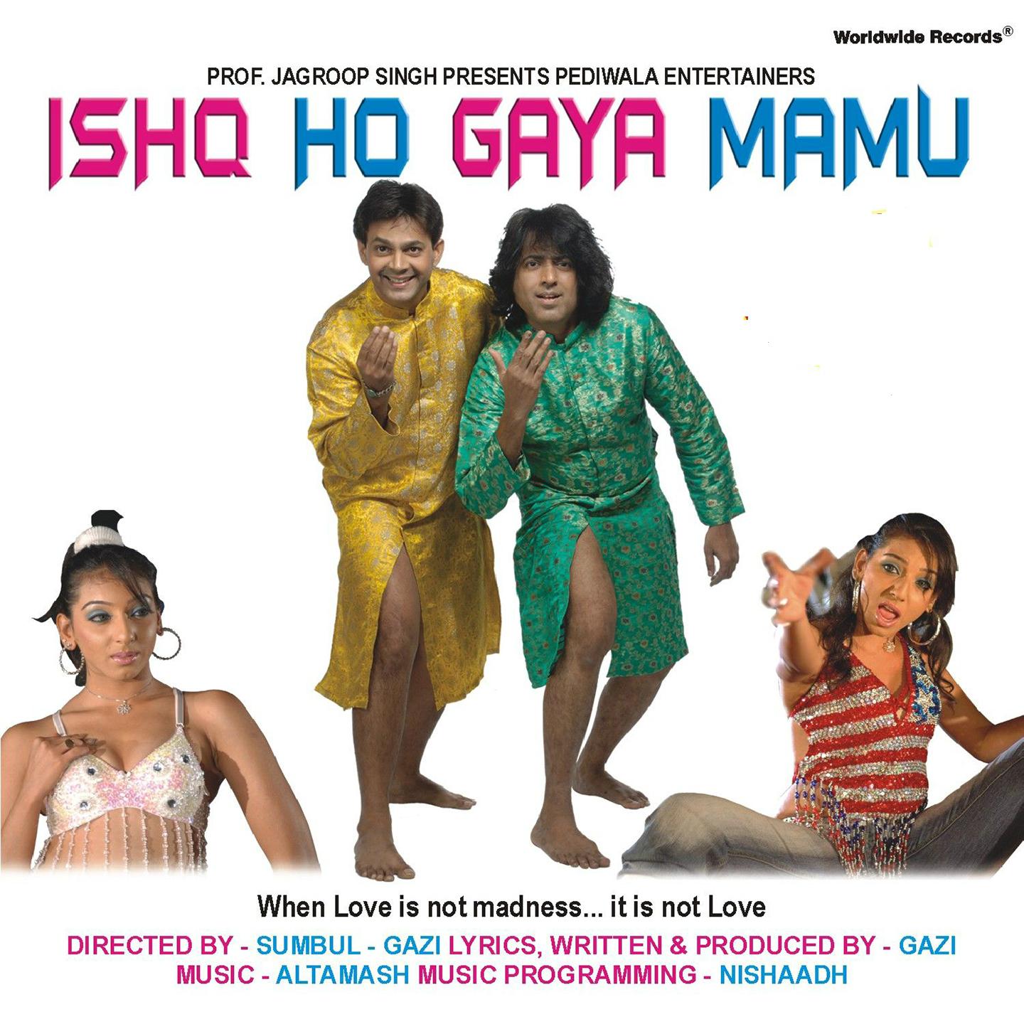 Постер альбома Ishq Ho Gaya Mamu