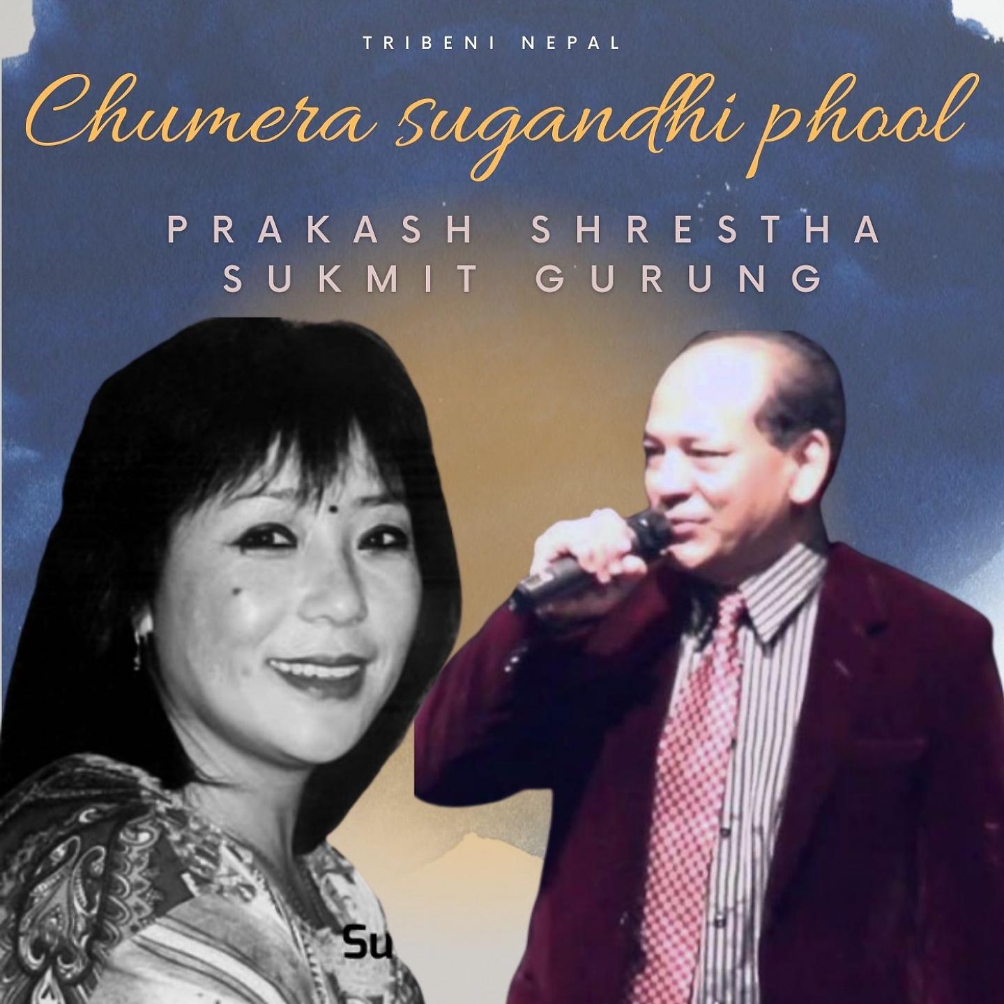 Постер альбома Chumera sugandhi phool