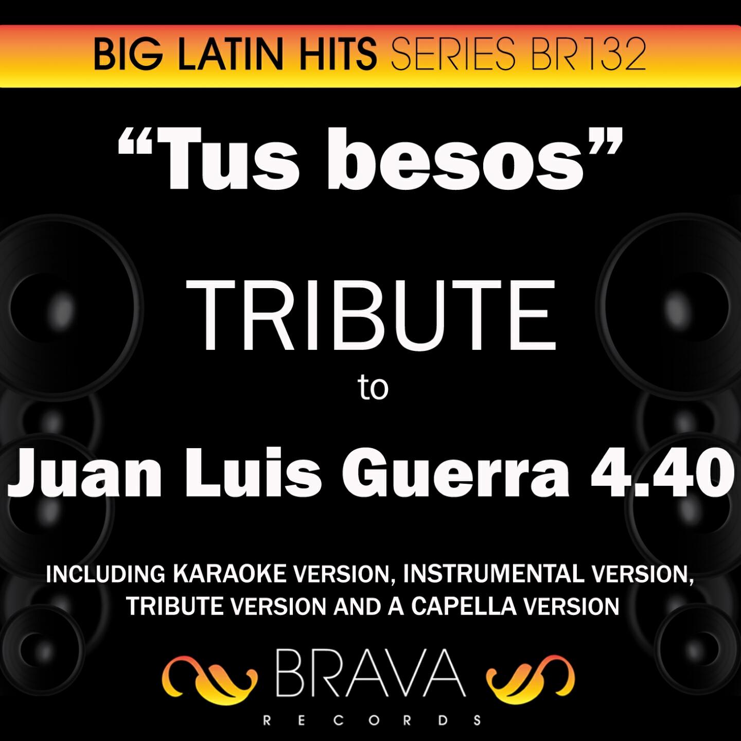 Brava HitMakers - Tus Besos (In The Style Of Juan Luis Guerra 4.40) [Instrumental Version]