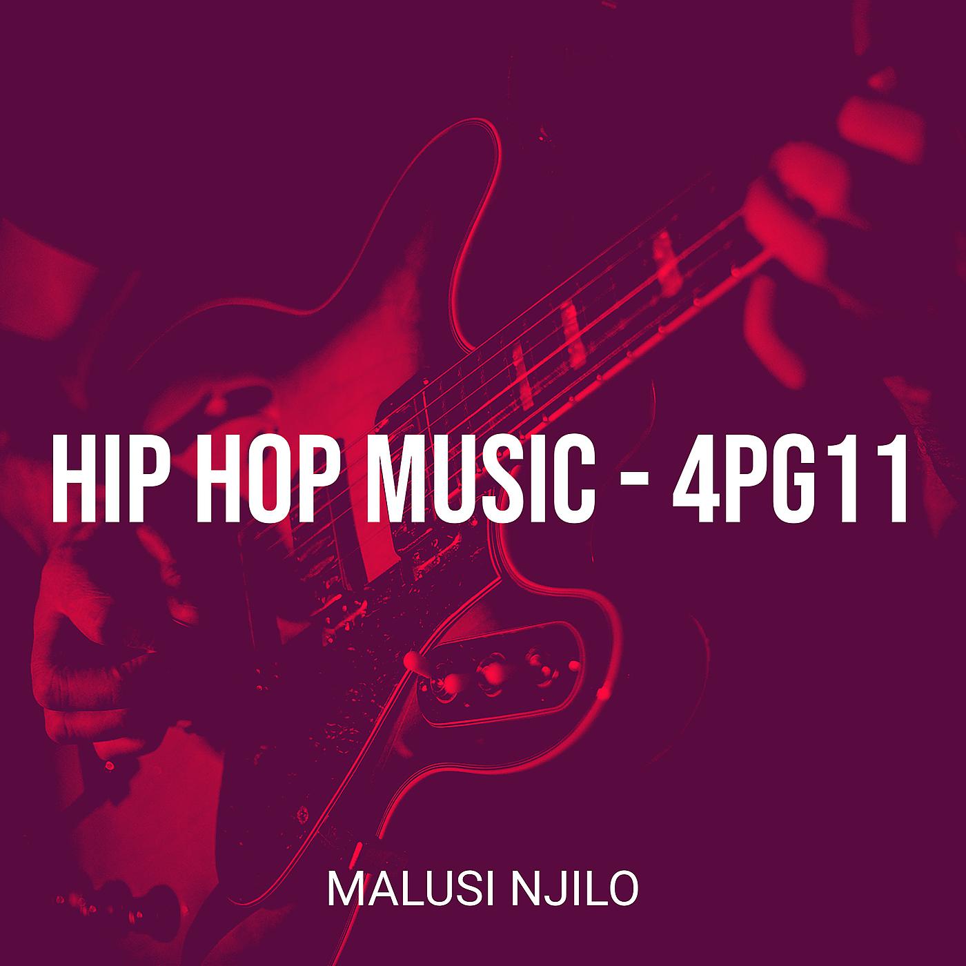 Постер альбома Hip Hop Music - 4pg11