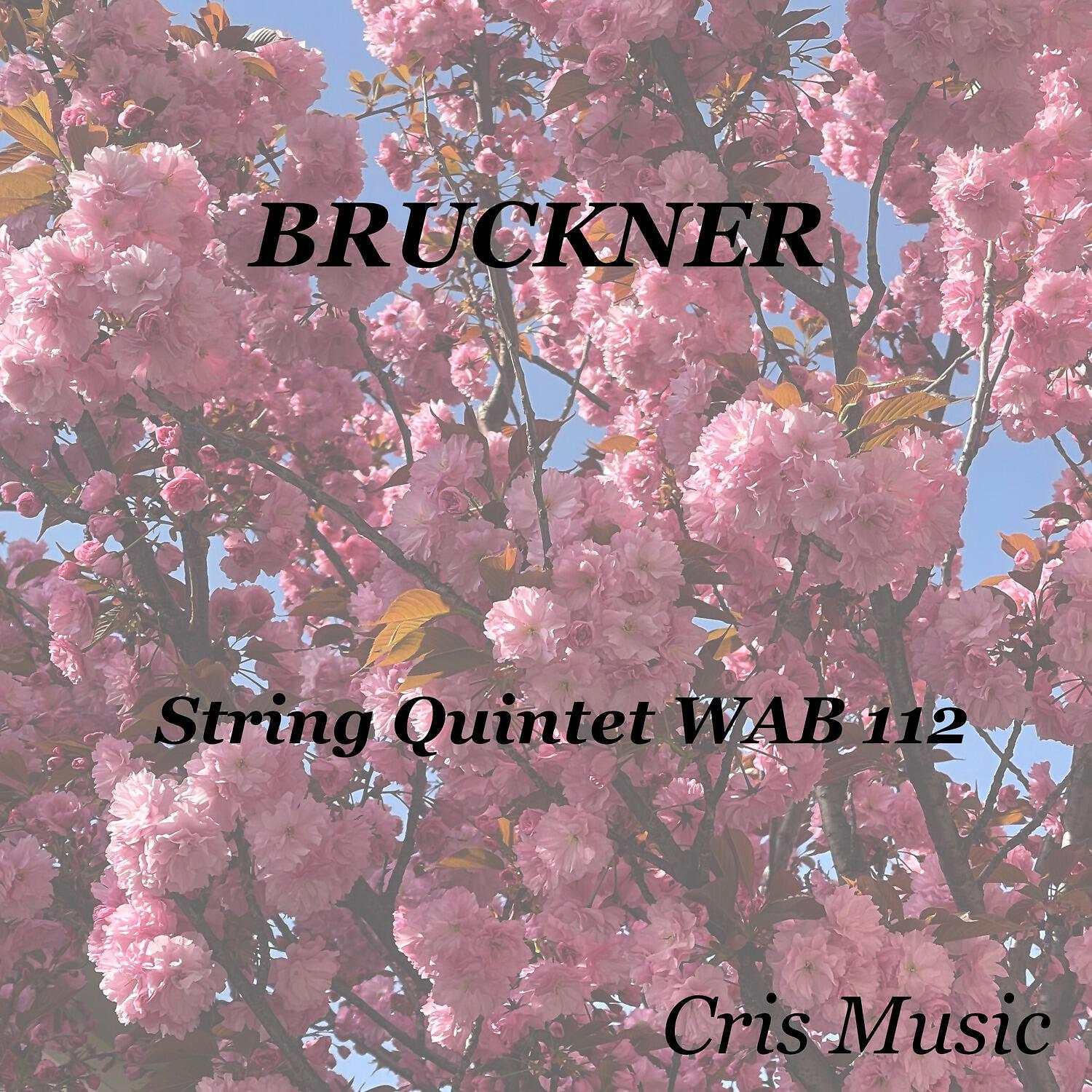 Strub Quartet - Bruckner: String Quintet WAB 112, I. Gemäßigt